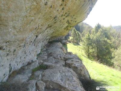 un bosque Jurásico - Sabinar y Cañón del río Caslilla; viajar en grupos organizados pueblos fantasma